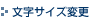 �����T�C�Y�ύX