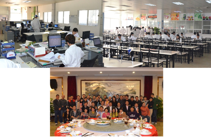 HFF (China)